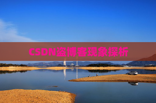 CSDN盗博客现象探析 CSDN盗博客现象探析